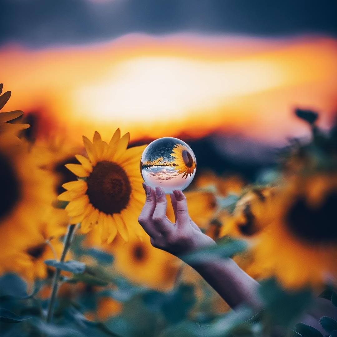 LENSBALL