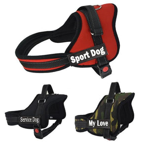 NEW ALL-IN-ONE™ NO PULL DOG HARNESS