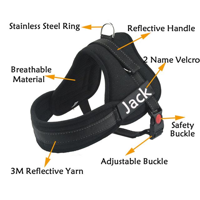 NEW ALL-IN-ONE™ NO PULL DOG HARNESS