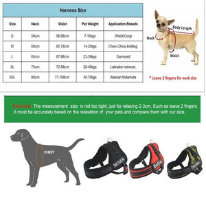 NEW ALL-IN-ONE™ NO PULL DOG HARNESS