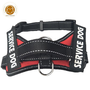 NEW ALL-IN-ONE™ NO PULL DOG HARNESS