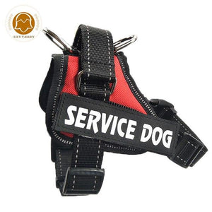 NEW ALL-IN-ONE™ NO PULL DOG HARNESS