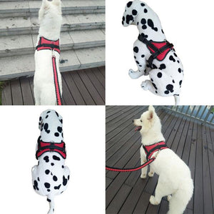 NEW ALL-IN-ONE™ NO PULL DOG HARNESS