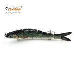 Realistic Fish Lure